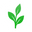 True Nutra logo